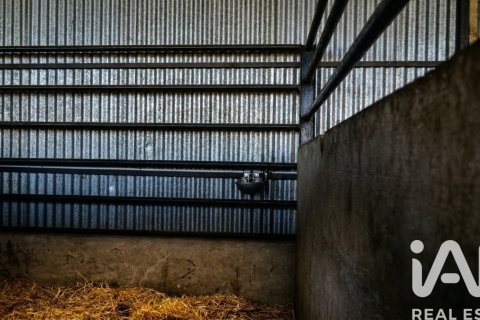 Продажа земельного участка в Альмонте, Уэльва, Испания 7380м2 №185100 - фото 16