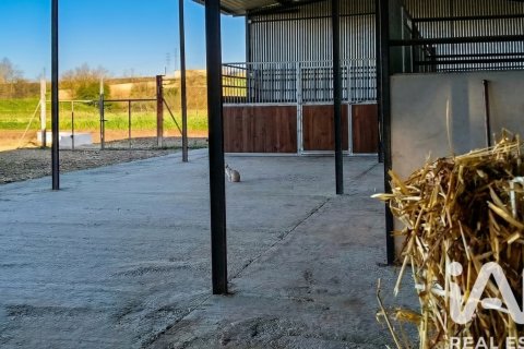 Продажа земельного участка в Альмонте, Уэльва, Испания 7380м2 №185100 - фото 14