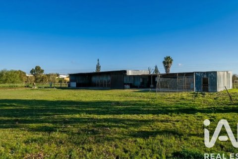 Продажа земельного участка в Альмонте, Уэльва, Испания 7380м2 №185100 - фото 7