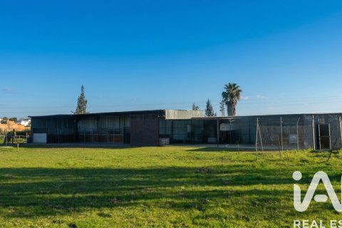 Продажа земельного участка в Альмонте, Уэльва, Испания 7380м2 №185100 - фото 5