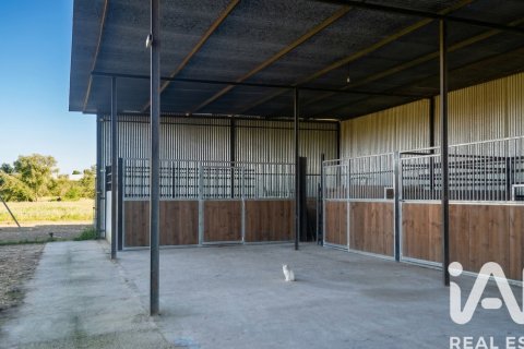 Продажа земельного участка в Альмонте, Уэльва, Испания 7380м2 №185100 - фото 2