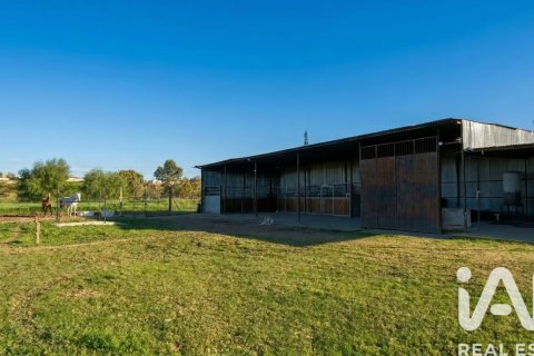 Продажа земельного участка в Альмонте, Уэльва, Испания 7380м2 №185100 - фото 6