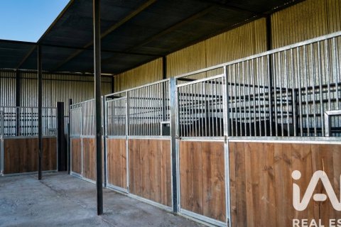 Продажа земельного участка в Альмонте, Уэльва, Испания 7380м2 №185100 - фото 13