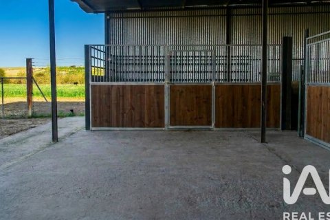 Продажа земельного участка в Альмонте, Уэльва, Испания 7380м2 №185100 - фото 11