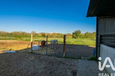 Продажа земельного участка в Альмонте, Уэльва, Испания 7380м2 №185100 - фото 3