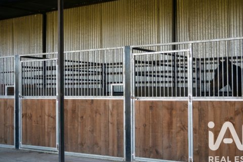 Продажа земельного участка в Альмонте, Уэльва, Испания 7380м2 №185100 - фото 12