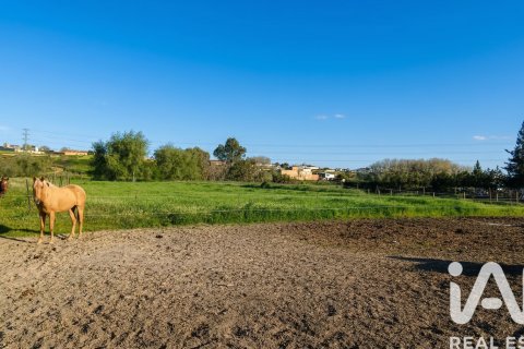 Продажа земельного участка в Альмонте, Уэльва, Испания 7380м2 №185100 - фото 10