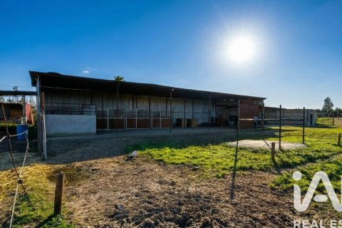 Продажа земельного участка в Альмонте, Уэльва, Испания 7380м2 №185100 - фото 8
