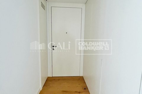 Huoneisto vuokrattavana Principado De Andorra (Ninguna Poblacion Tiene C.P.), Lleida, Espanja, 3 makuuhuonetta, 173 m2 No. 156697 - kuva 26