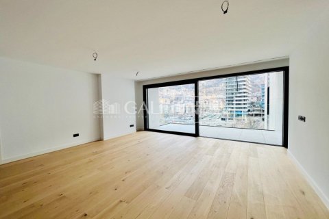 Huoneisto vuokrattavana Principado De Andorra (Ninguna Poblacion Tiene C.P.), Lleida, Espanja, 3 makuuhuonetta, 173 m2 No. 156697 - kuva 6