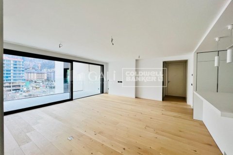 Huoneisto vuokrattavana Principado De Andorra (Ninguna Poblacion Tiene C.P.), Lleida, Espanja, 3 makuuhuonetta, 173 m2 No. 156697 - kuva 4