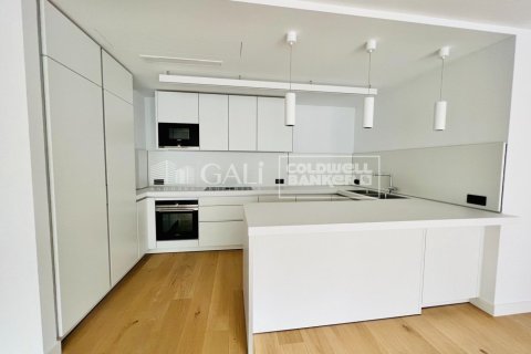 Huoneisto vuokrattavana Principado De Andorra (Ninguna Poblacion Tiene C.P.), Lleida, Espanja, 3 makuuhuonetta, 173 m2 No. 156697 - kuva 10