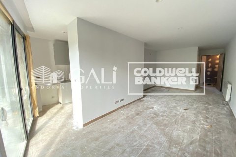 Huoneisto vuokrattavana Principado De Andorra (Ninguna Poblacion Tiene C.P.), Lleida, Espanja, 3 makuuhuonetta, 91 m2 No. 156698 - kuva 2