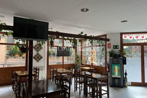 Liikekiinteistö vuokrattavana Principado De Andorra (Ninguna Poblacion Tiene C.P.), Lleida, Espanja , 120 m2 No. 156699 - kuva 7