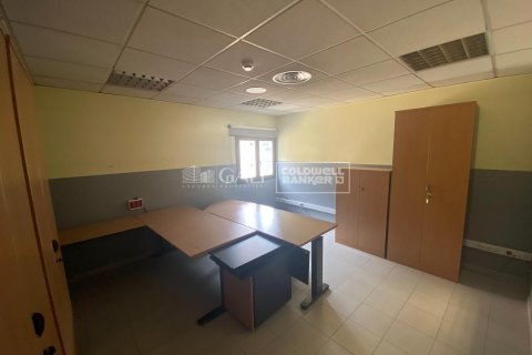 Toimisto vuokrattavana Principado De Andorra (Ninguna Poblacion Tiene C.P.), Lleida, Espanja , 498 m2 No. 156700 - kuva 23