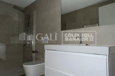 Huoneisto vuokrattavana Principado De Andorra (Ninguna Poblacion Tiene C.P.), Lleida, Espanja, 2 makuuhuonetta, 85 m2 No. 156702 - kuva 15