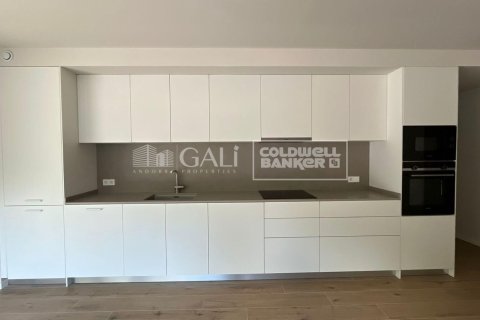 Huoneisto vuokrattavana Principado De Andorra (Ninguna Poblacion Tiene C.P.), Lleida, Espanja, 2 makuuhuonetta, 85 m2 No. 156702 - kuva 6