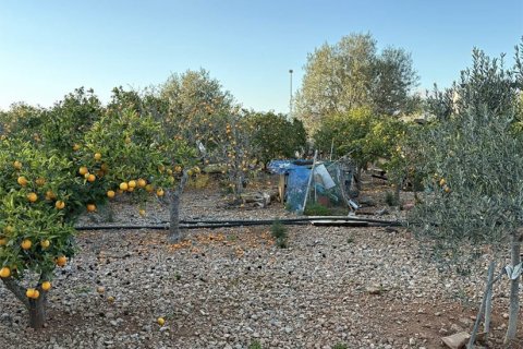 Działka w Mallorca, Hiszpania 270 mkw. nr 143596 – zdjęcie 5