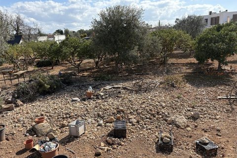 Działka w Mallorca, Hiszpania 270 mkw. nr 143596 – zdjęcie 4