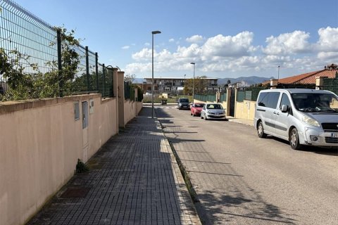 Działka w Mallorca, Hiszpania 270 mkw. nr 143596 – zdjęcie 2