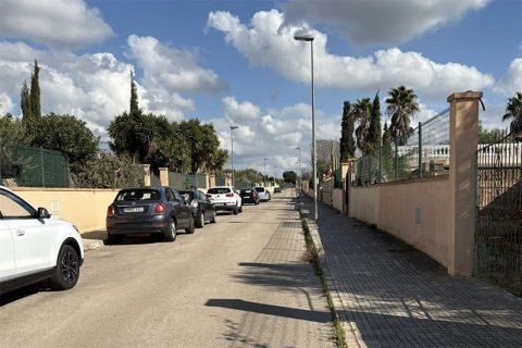 Działka w Mallorca, Hiszpania 270 mkw. nr 143596 – zdjęcie 1