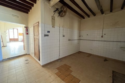 Commercial property for rent in Campanet, Mallorca, Spain 1 bedroom, 134 sq.m. No. 143600 - photo 3