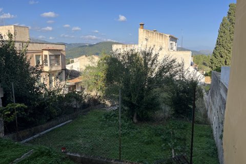 Commercial property for rent in Campanet, Mallorca, Spain 1 bedroom, 134 sq.m. No. 143600 - photo 9