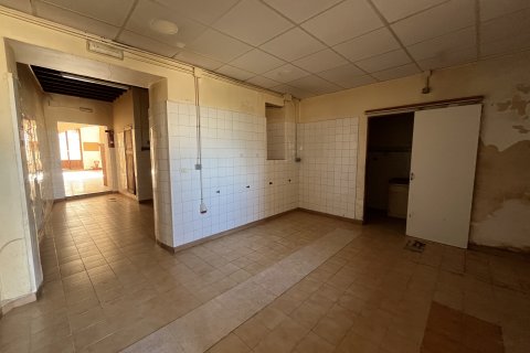 Commercial property for rent in Campanet, Mallorca, Spain 1 bedroom, 134 sq.m. No. 143600 - photo 7