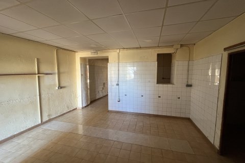Commercial property for rent in Campanet, Mallorca, Spain 1 bedroom, 134 sq.m. No. 143600 - photo 4