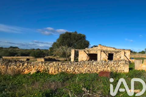 Zemes gabals pārdošanā Santa Margalida, Mallorca, Spānijā 14125 m2 Nr. 152763 - attēls 17