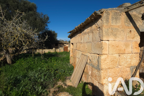 Zemes gabals pārdošanā Santa Margalida, Mallorca, Spānijā 14125 m2 Nr. 152763 - attēls 10