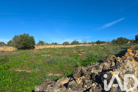 Zemes gabals pārdošanā Santa Margalida, Mallorca, Spānijā 14125 m2 Nr. 152763 - attēls 22