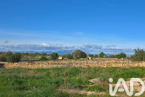 Zemes gabals pārdošanā Santa Margalida, Mallorca, Spānijā 14125 m2 Nr. 152763 - attēls 4