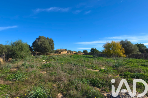 Zemes gabals pārdošanā Santa Margalida, Mallorca, Spānijā 14125 m2 Nr. 152763 - attēls 21