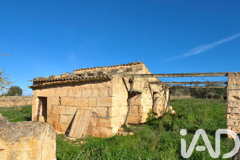 Zemes gabals pārdošanā Santa Margalida, Mallorca, Spānijā 14125 m2 Nr. 152763 - attēls 11