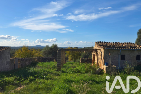 Zemes gabals pārdošanā Santa Margalida, Mallorca, Spānijā 14125 m2 Nr. 152763 - attēls 5