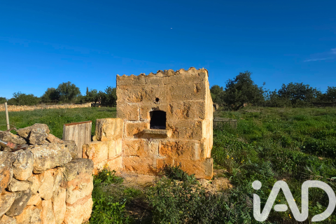 Zemes gabals pārdošanā Santa Margalida, Mallorca, Spānijā 14125 m2 Nr. 152763 - attēls 16