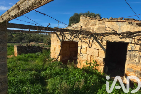 Zemes gabals pārdošanā Santa Margalida, Mallorca, Spānijā 14125 m2 Nr. 152763 - attēls 6