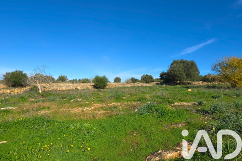 Zemes gabals pārdošanā Santa Margalida, Mallorca, Spānijā 14125 m2 Nr. 152763 - attēls 24