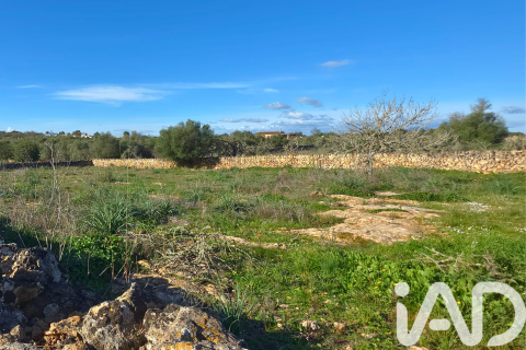 Zemes gabals pārdošanā Santa Margalida, Mallorca, Spānijā 14125 m2 Nr. 152763 - attēls 29