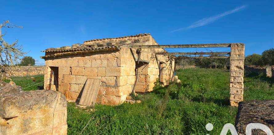 Zemes gabals Santa Margalida, Mallorca, Spānijā 14125 m2 Nr. 152763