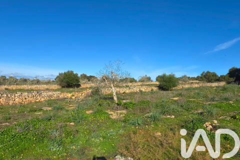 Zemes gabals pārdošanā Santa Margalida, Mallorca, Spānijā 14125 m2 Nr. 152763 - attēls 27