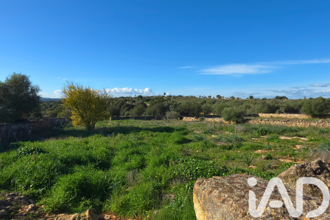 Zemes gabals pārdošanā Santa Margalida, Mallorca, Spānijā 14125 m2 Nr. 152763 - attēls 30