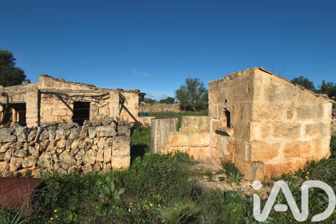 Zemes gabals pārdošanā Santa Margalida, Mallorca, Spānijā 14125 m2 Nr. 152763 - attēls 13