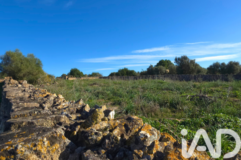 Zemes gabals pārdošanā Santa Margalida, Mallorca, Spānijā 14125 m2 Nr. 152763 - attēls 26