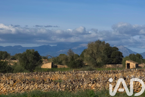 Zemes gabals pārdošanā Santa Margalida, Mallorca, Spānijā 14125 m2 Nr. 152763 - attēls 3