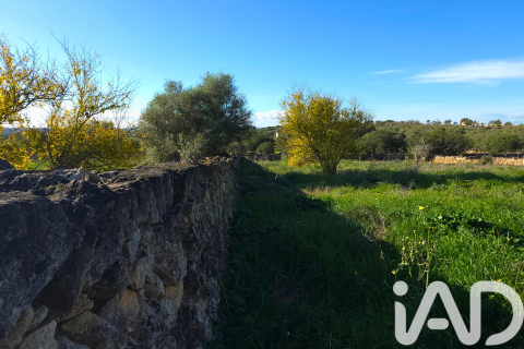 Zemes gabals pārdošanā Santa Margalida, Mallorca, Spānijā 14125 m2 Nr. 152763 - attēls 28