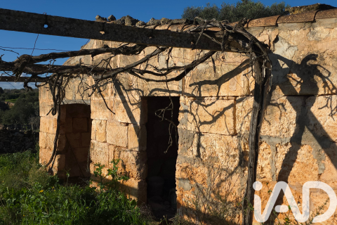 Zemes gabals pārdošanā Santa Margalida, Mallorca, Spānijā 14125 m2 Nr. 152763 - attēls 9