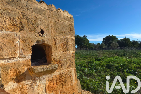 Zemes gabals pārdošanā Santa Margalida, Mallorca, Spānijā 14125 m2 Nr. 152763 - attēls 2