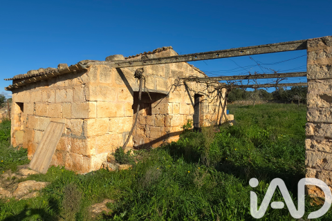 Zemes gabals pārdošanā Santa Margalida, Mallorca, Spānijā 14125 m2 Nr. 152763 - attēls 12